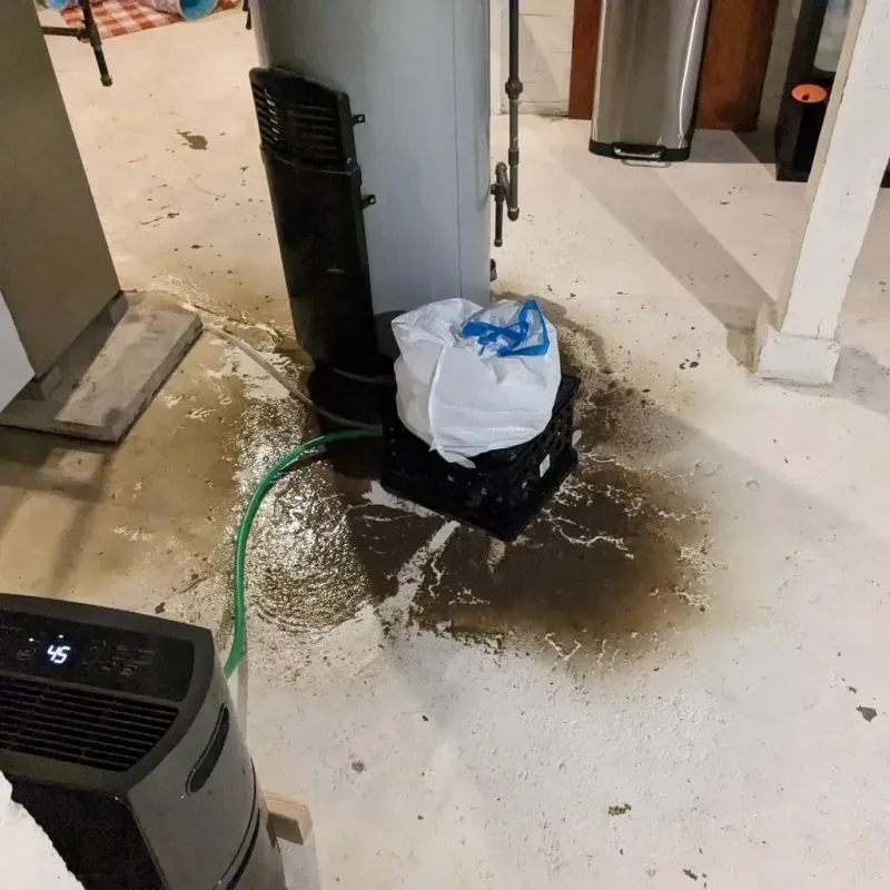 Sewage Backup Cleanup Service in Yamhill, OR